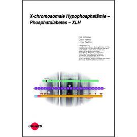 X-chromosomale Hypophosphatämie - Phosphatdiabetes - XLH